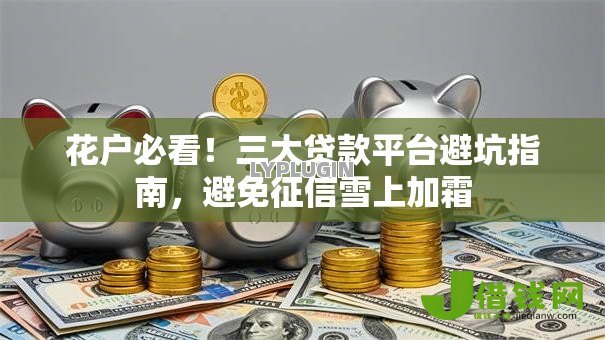 花户必看！三大贷款平台避坑指南，避免征信雪上加霜