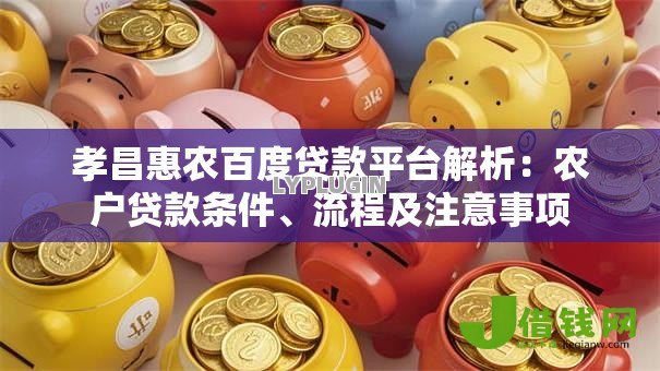 孝昌惠农百度贷款平台解析：农户贷款条件、流程及注意事项