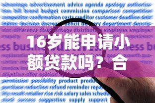 16岁能申请小额贷款吗？合法平台解析与风险提醒