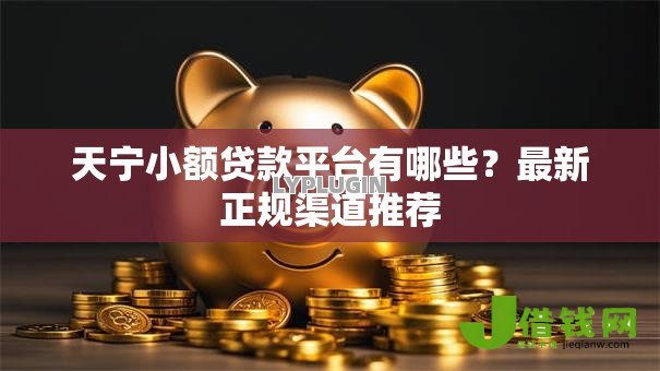 天宁小额贷款平台有哪些？最新正规渠道推荐