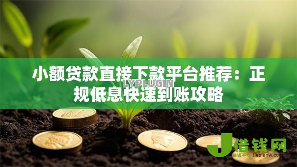 小额贷款直接下款平台推荐:正规低息快速到账攻略 小额贷款直接下款平台推荐:正规低息快速到账攻略