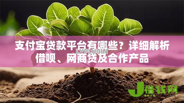 支付宝贷款平台有哪些？详细解析借呗、网商贷及合作产品