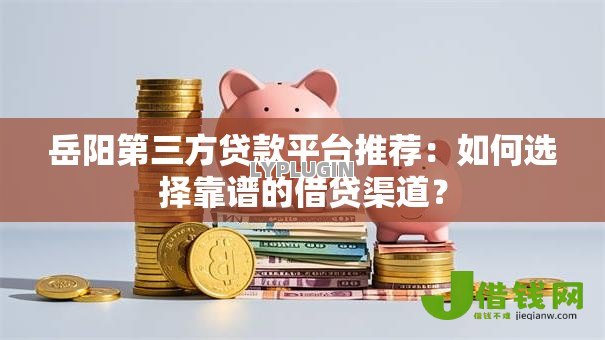 岳阳第三方贷款平台推荐：如何选择靠谱的借贷渠道？