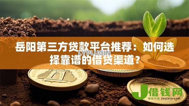 岳阳第三方贷款平台推荐：如何选择靠谱的借贷渠道？