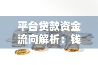 平台贷款资金流向解析：钱都去了哪里？