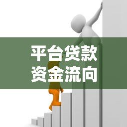 平台贷款资金流向解析：钱都去了哪里？