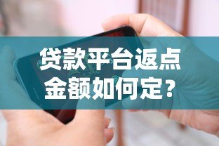 贷款平台返点金额如何定?返多少才合理 贷款平台返点金额如何定?返多少才合理