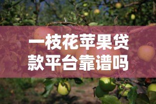 一枝花苹果贷款平台靠谱吗？最新申请攻略详解