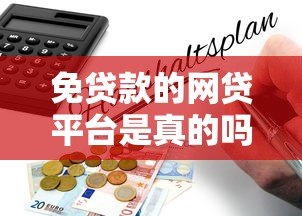 免贷款的网贷平台是真的吗？揭秘背后真相与风险