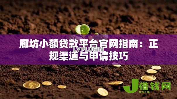 廊坊小额贷款平台官网指南：正规渠道与申请技巧