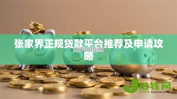 张家界正规贷款平台推荐及申请攻略