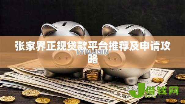 张家界正规贷款平台推荐及申请攻略