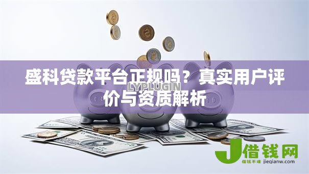 盛科贷款平台正规吗？真实用户评价与资质解析