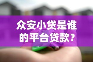 众安小贷是谁的平台贷款?背景解析与产品测评 众安小贷是谁的平台贷款?背景解析与产品测评