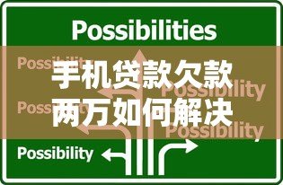 手机贷款欠款两万如何解决？实用应对指南