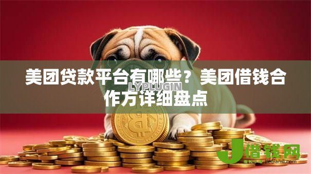 美团贷款平台有哪些?美团借钱合作方详细盘点 美团贷款平台有哪些?美团借钱合作方详细盘点