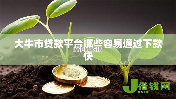 大牛市贷款平台哪些容易通过下款快