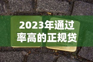 2023年通过率高的正规贷款平台推荐及申请技巧 2023年通过率高的正规贷款平台推荐及申请技巧