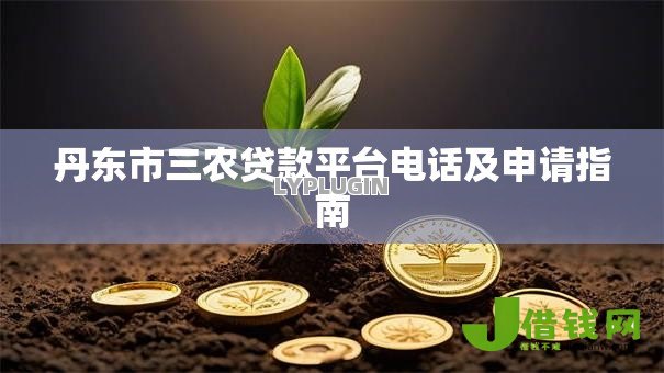 丹东市三农贷款平台电话及申请指南