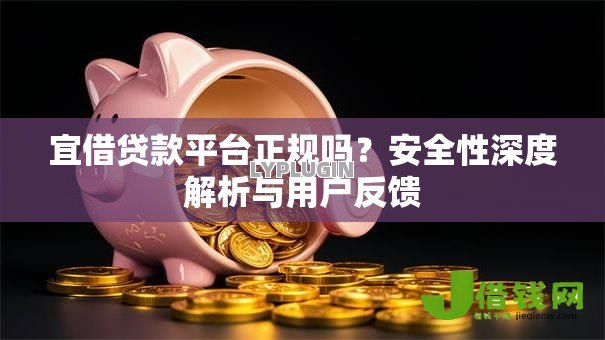 宜借贷款平台正规吗?安全性深度解析与用户反馈 宜借贷款平台正规吗?安全性深度解析与用户反馈