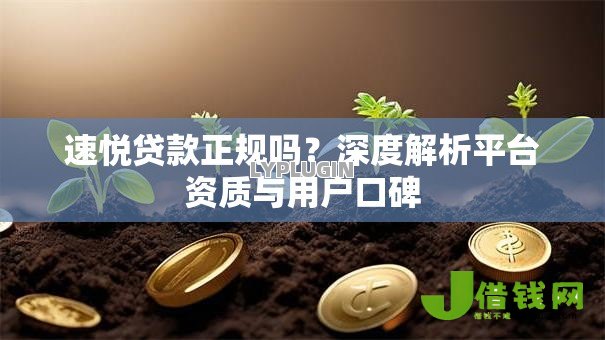 速悦贷款正规吗？深度解析平台资质与用户口碑