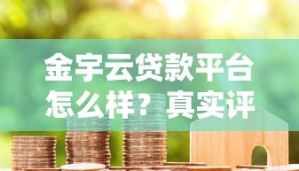 金宇云贷款平台怎么样？真实评测与用户反馈解析