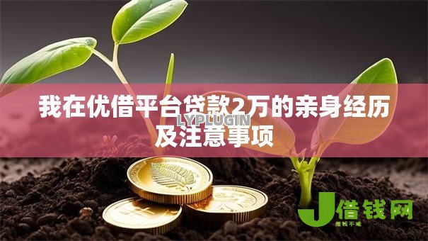 我在优借平台贷款2万的亲身经历及注意事项 我在优借平台贷款2万的亲身经历及注意事项