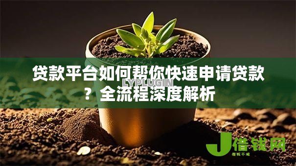贷款平台如何帮你快速申请贷款？全流程深度解析