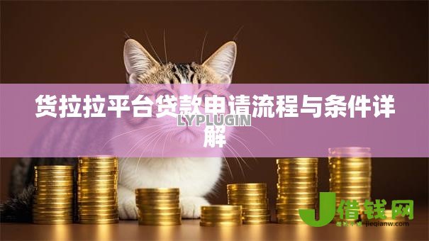 货拉拉平台贷款申请流程与条件详解 货拉拉平台贷款申请流程与条件详解