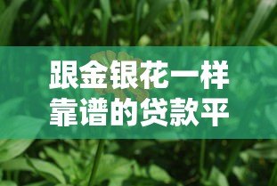 跟金银花一样靠谱的贷款平台有哪些?这5个平台值得一试 跟金银花一样靠谱的贷款平台有哪些?这5个平台值得一试