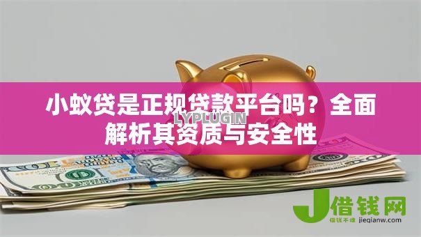 小蚁贷是正规贷款平台吗?全面解析其资质与安全性 小蚁贷是正规贷款平台吗?全面解析其资质与安全性
