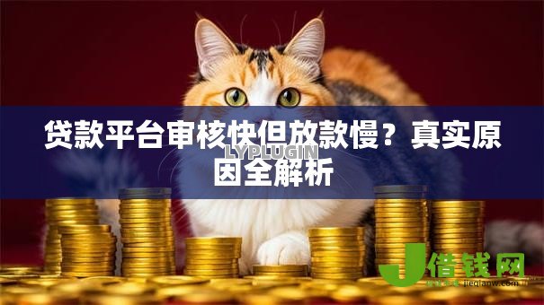 贷款平台审核快但放款慢？真实原因全解析