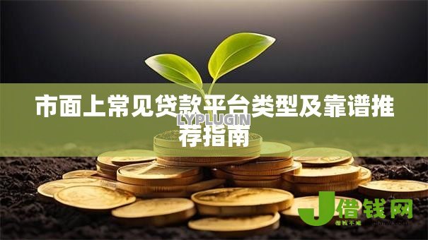 市面上常见贷款平台类型及靠谱推荐指南 市面上常见贷款平台类型及靠谱推荐指南