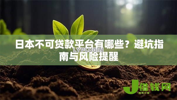 日本不可贷款平台有哪些？避坑指南与风险提醒