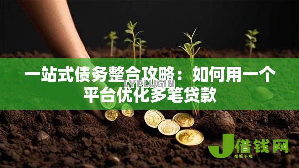 一站式债务整合攻略:如何用一个平台优化多笔贷款 一站式债务整合攻略:如何用一个平台优化多笔贷款