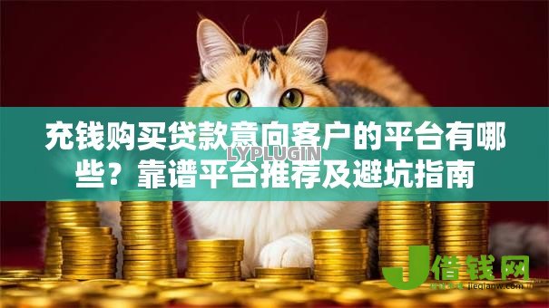 充钱购买贷款意向客户的平台有哪些?靠谱平台推荐及避坑指南 充钱购买贷款意向客户的平台有哪些?靠谱平台推荐及避坑指南