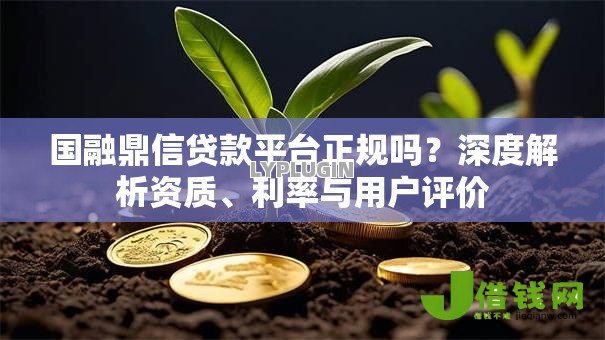 国融鼎信贷款平台正规吗？深度解析资质、利率与用户评价
