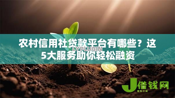 农村信用社贷款平台有哪些？这5大服务助你轻松融资