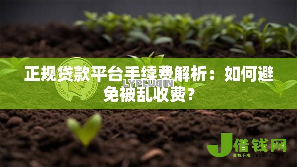 正规贷款平台手续费解析：如何避免被乱收费？
