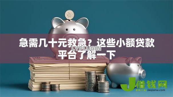 急需几十元救急?这些小额贷款平台了解一下 急需几十元救急?这些小额贷款平台了解一下