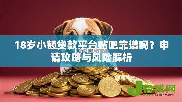 18岁小额贷款平台贴吧靠谱吗？申请攻略与风险解析