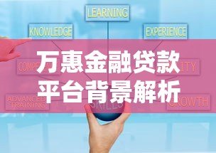 万惠金融贷款平台背景解析:可靠性与服务深度剖析 万惠金融贷款平台背景解析:可靠性与服务深度剖析