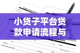 小贷子平台贷款申请流程与条件详解 小贷子平台贷款申请流程与条件详解