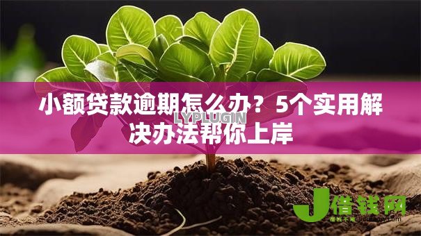小额贷款逾期怎么办?5个实用解决办法帮你上岸 小额贷款逾期怎么办?5个实用解决办法帮你上岸