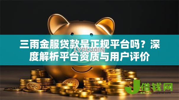 三雨金服贷款是正规平台吗？深度解析平台资质与用户评价
