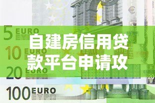 自建房信用贷款平台申请攻略：5大条件+3类平台选择