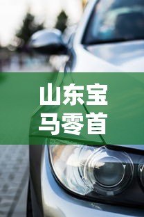 山东宝马零首付贷款平台全解析：购车避坑指南