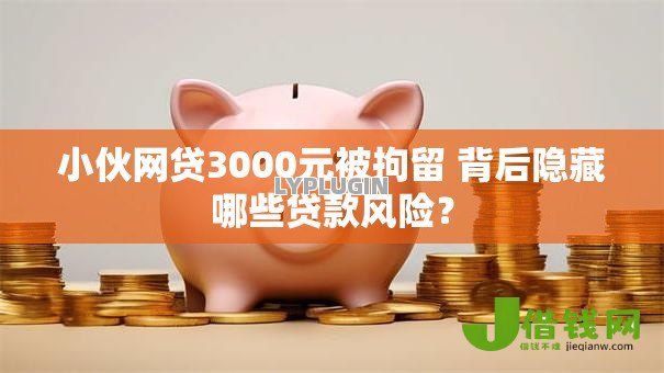 小伙网贷3000元被拘留 背后隐藏哪些贷款风险？