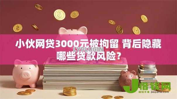 小伙网贷3000元被拘留 背后隐藏哪些贷款风险？