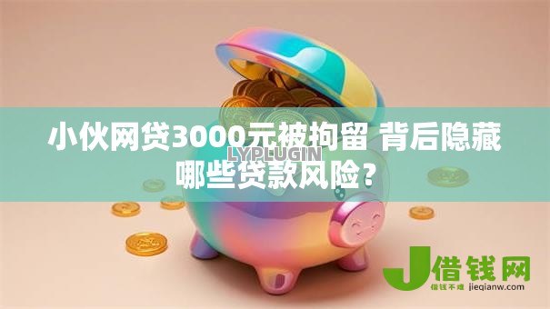 小伙网贷3000元被拘留 背后隐藏哪些贷款风险？